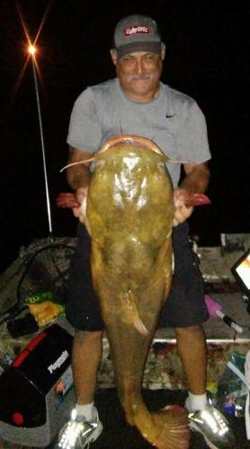 BOB MAINDELLE: Fishing buddies land monster yellow catfish at Belton Lake, Outdoor Sports