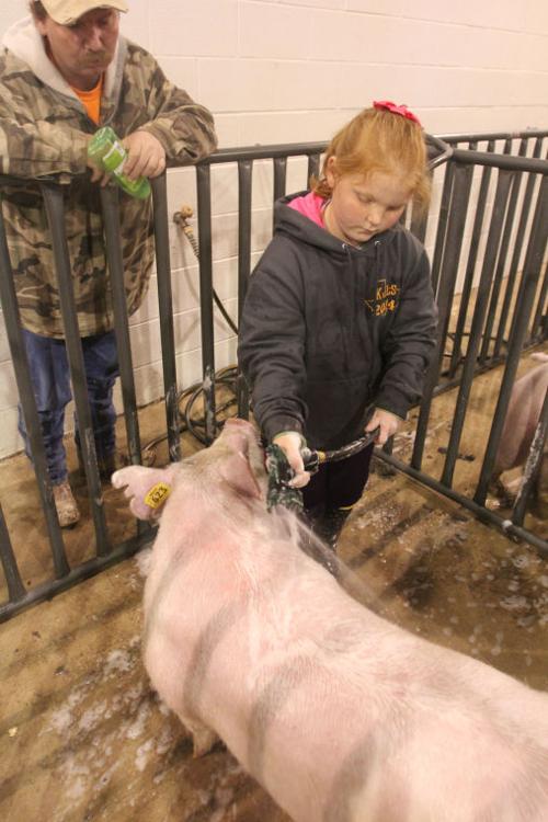 LivestockShow22.jpg