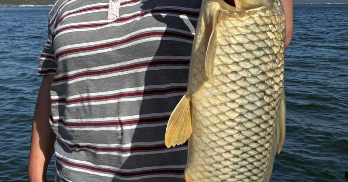 BOB MAINDELLE: As summer winds down, fishing remains consistent