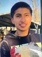 Sheriff's department seeks missing youth