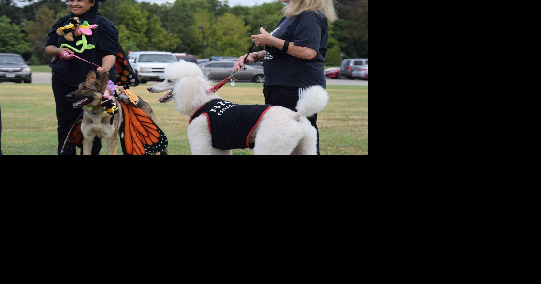 The costumes at Killeen Barktoberfest? Fetching Local News