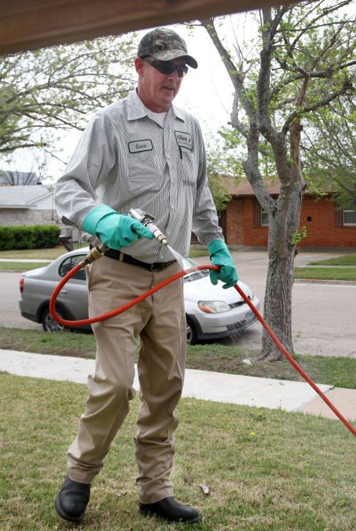 Pest Control in the Spring
