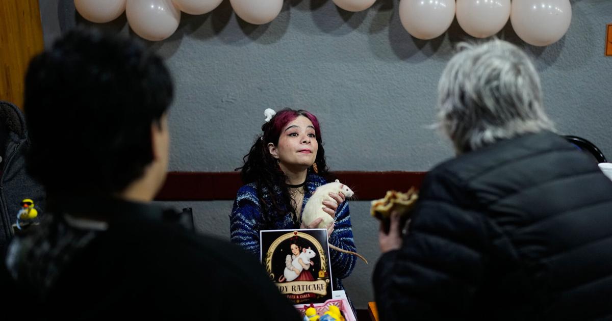 Amantes de las ratas argentinas