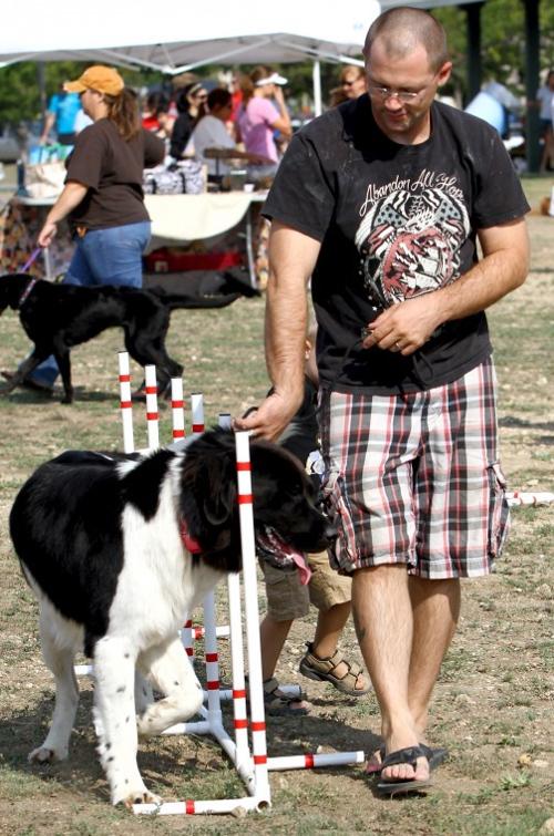 Puppypalooza