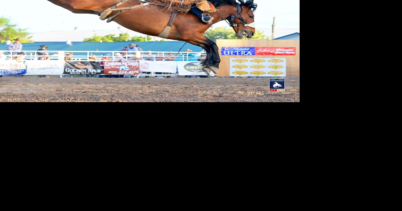 World-class talent gallops into Killeen for annual rodeo | Local News ...
