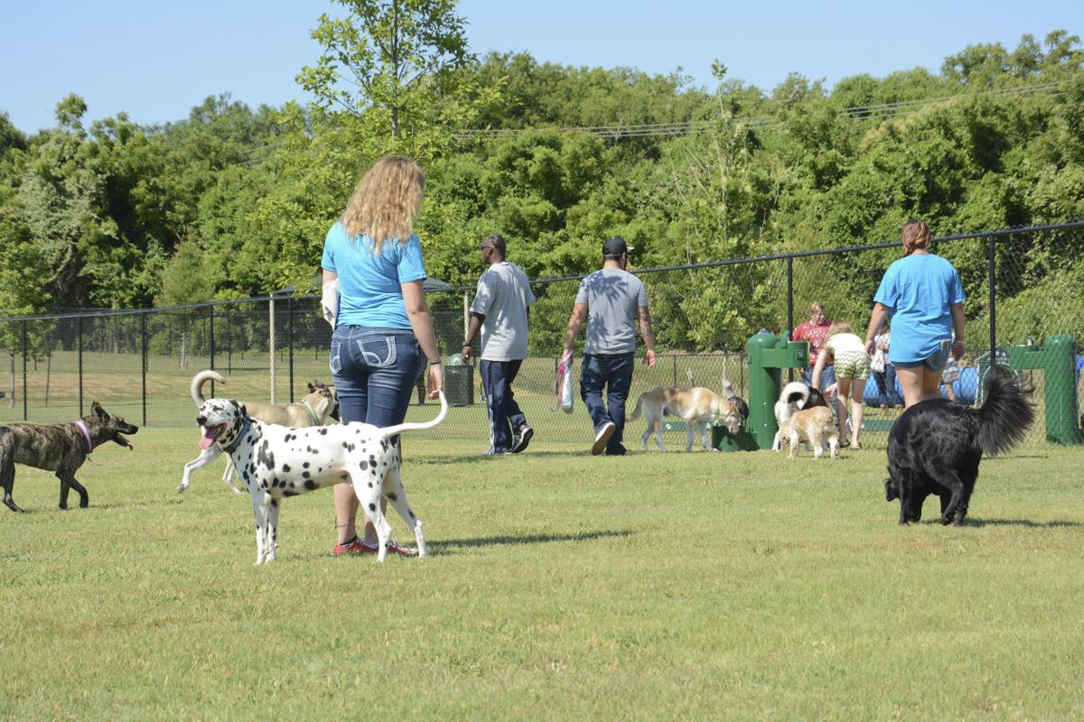 Killeen opens its first dog park Wednesday morning | News | kdhnews.com