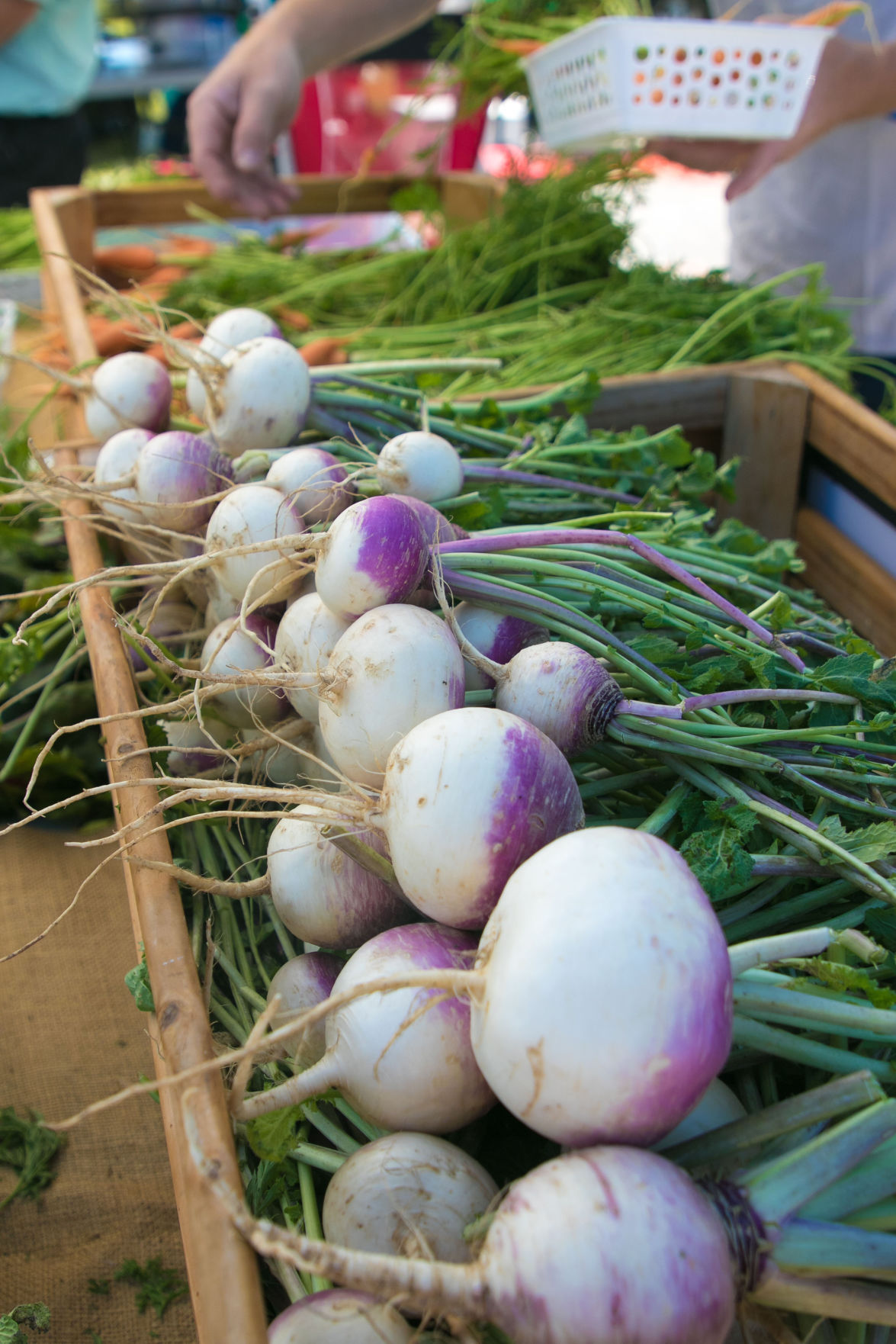Farmers Market