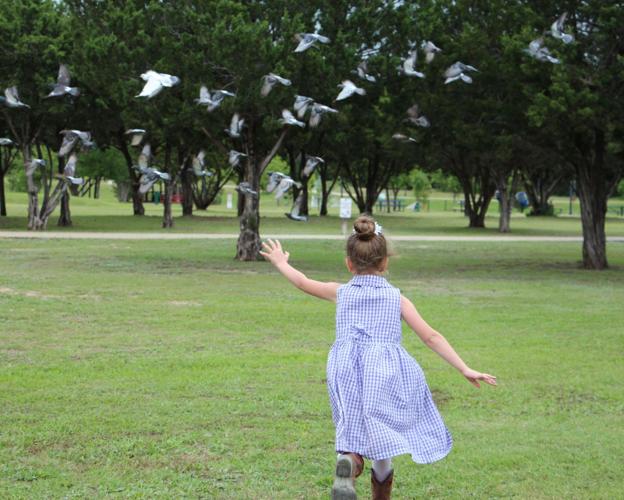 Harker Heights 3rd annual 'Sights in Heights' amateur photography