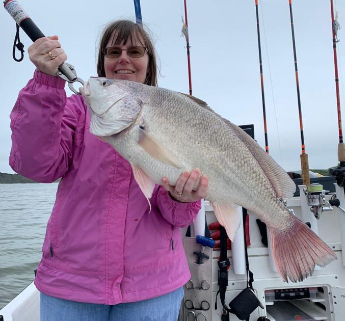 Bob Maindelle Lake Record Drum Caught At Stillhouse Outdoor Sports Kdhnews Com
