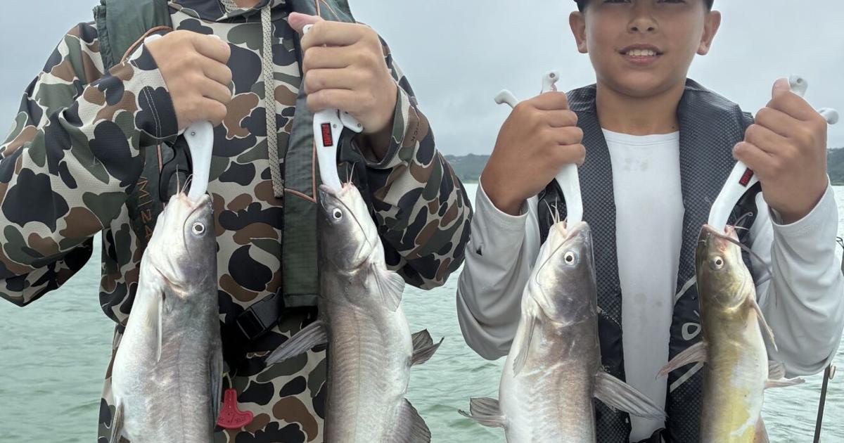 BOB MAINDELLE: Summertime catfishing | Home | kdhnews.com BOB MAINDELLE: Summertime catfishing | Home | kdhnews.com
