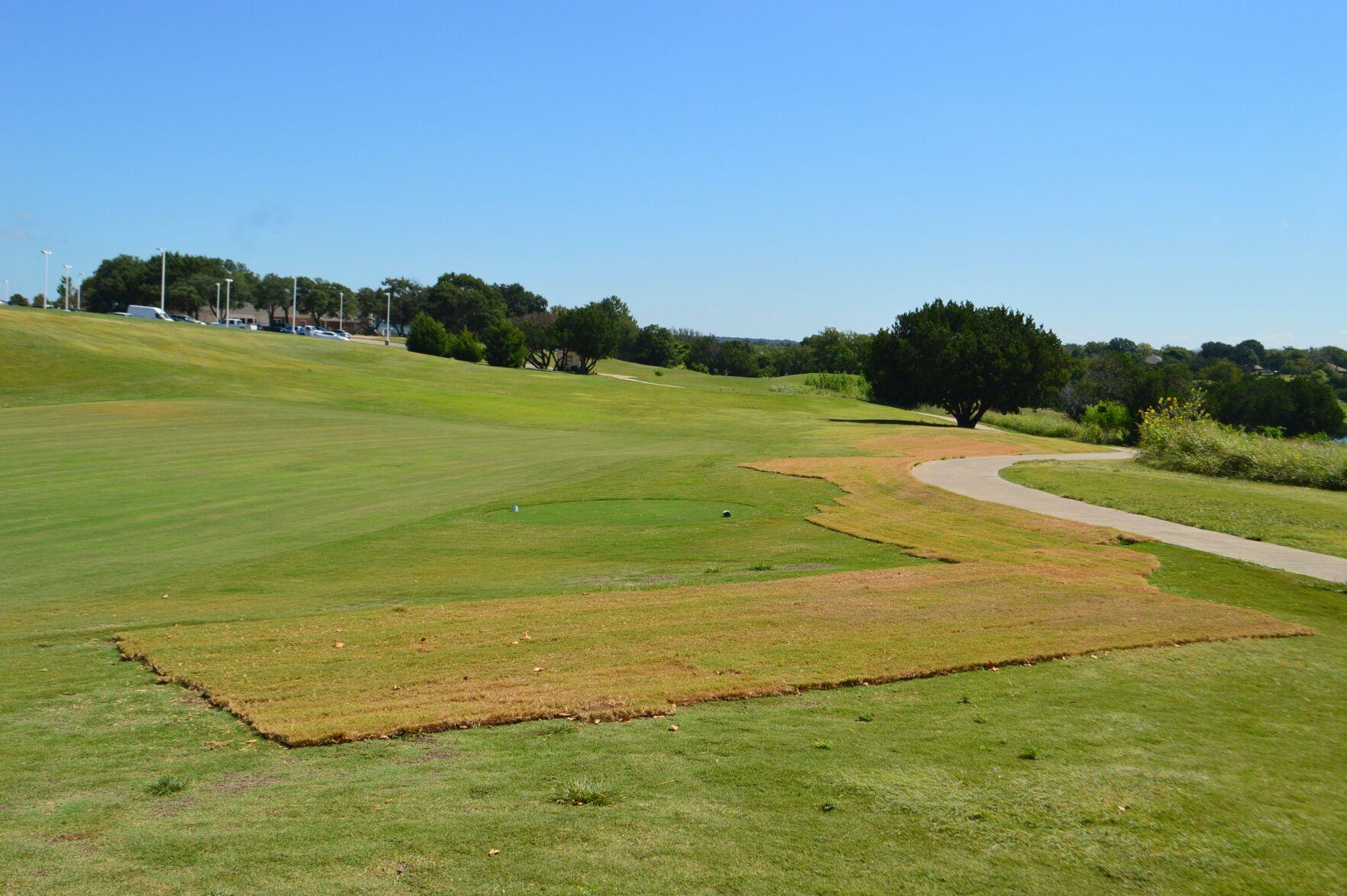 Killeen Golf Course back 9 Still Closed After Grass Repairs Local 