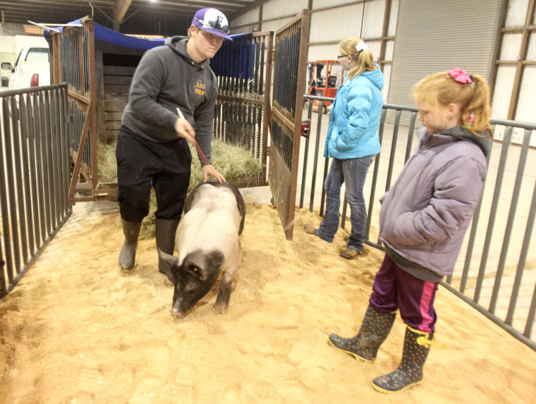 Killeen Junior Livestock Show