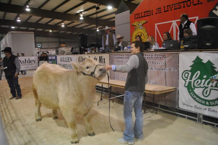 Killeen Junior Livestock Show starts Thursday at Special Events Center