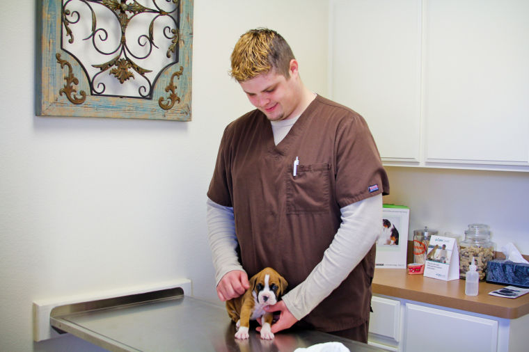 stagecoach veterinary clinic