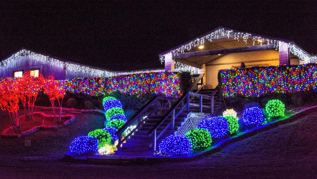 Nature in Lights at BLORA now open Harker Heights Texas Homes for Sale