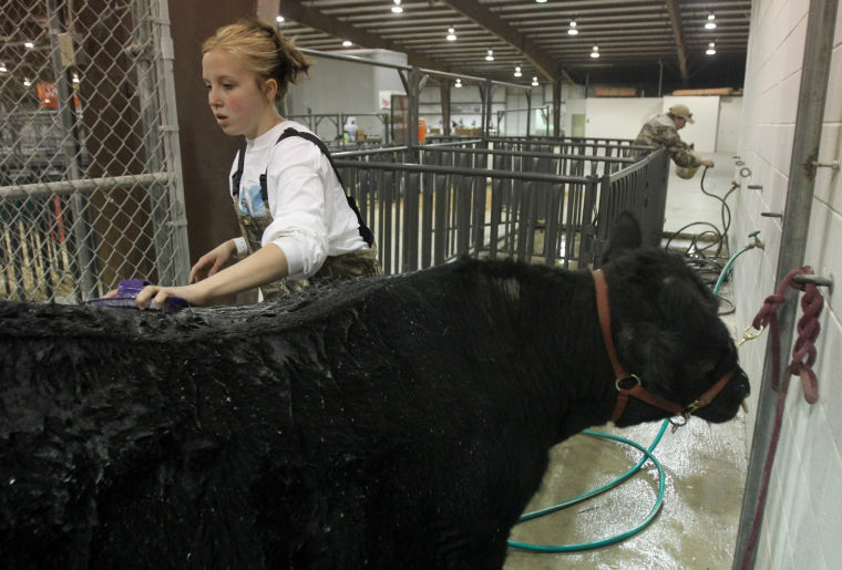 Killeen Junior Livestock Show