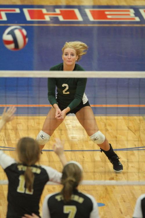 EllisonMansfieldVolleyball10.JPG