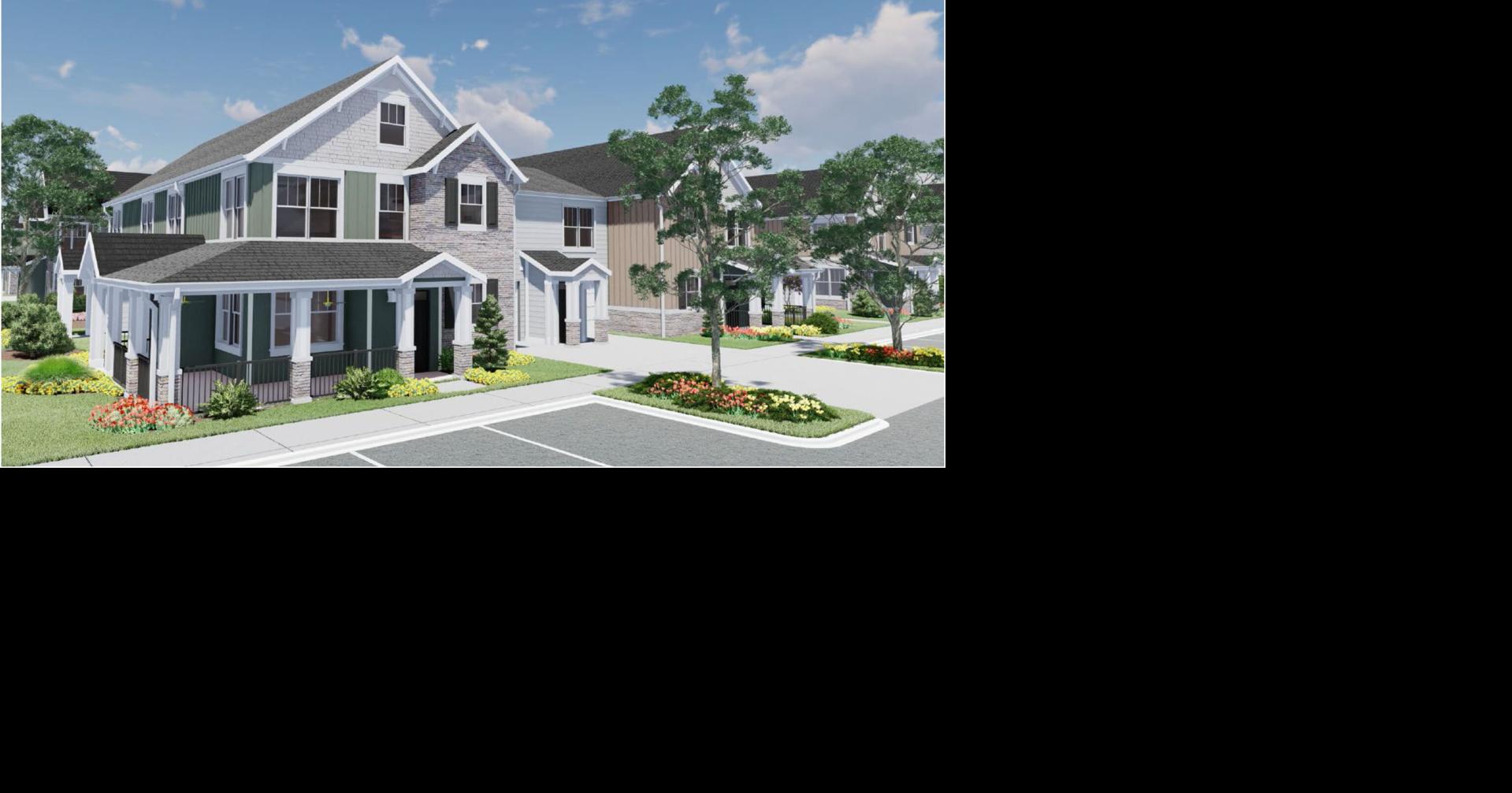 Developer unveils plans to council for single and multifamily housing