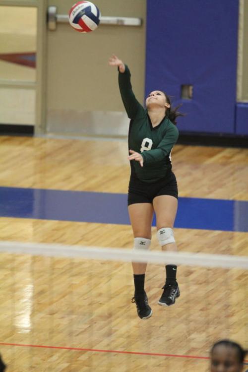 EllisonMansfieldVolleyball03.JPG