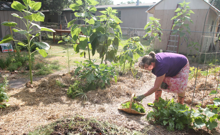 Organic Gardening