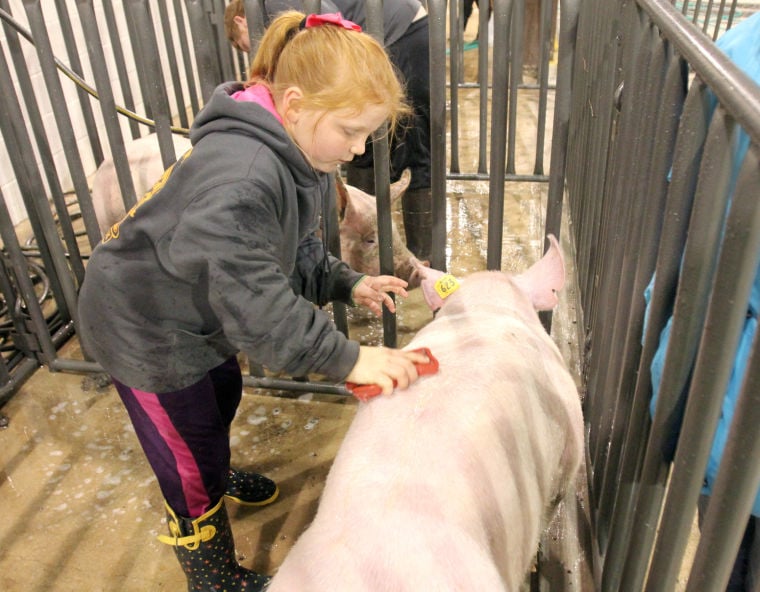 Killeen Junior Livestock Show