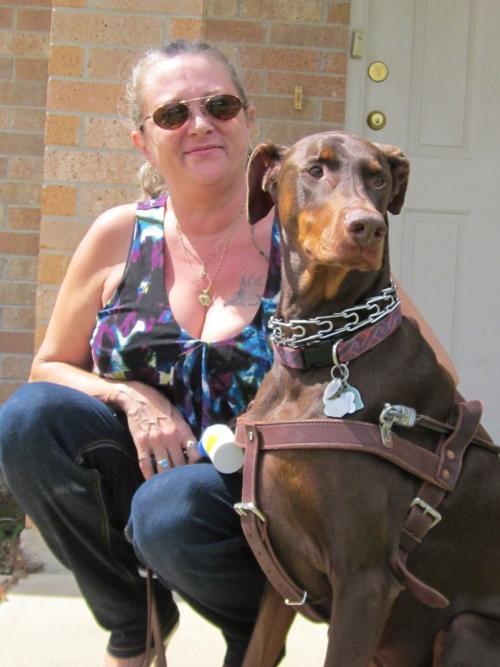 Service Dog
