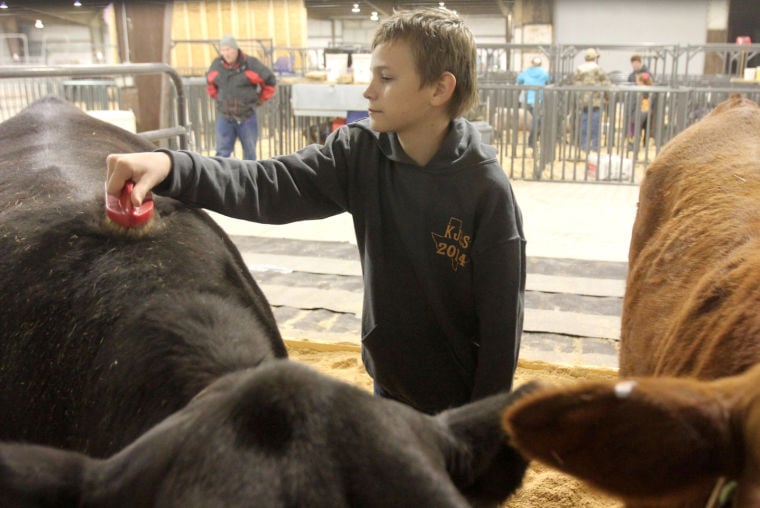 Killeen Junior Livestock Show