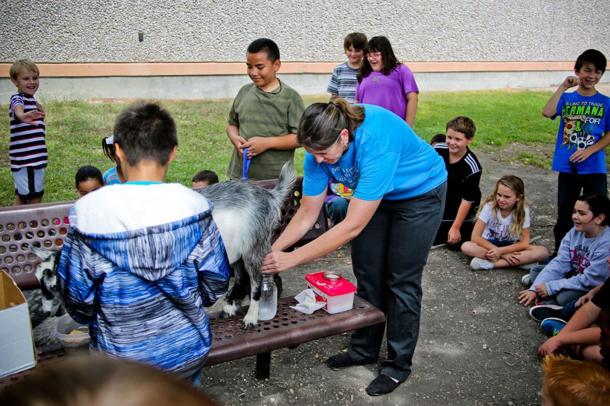 Fourth Graders At Fairview Miss Jewell Elementary In Cove Get Lesson In Goat Milking Education Kdhnews Com Support the fundraiser at jewell elementary and donate a certain amount for every lap valentina completes in the obstacle this friday or donate a flat.