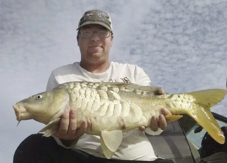 catfish and carp rod holders