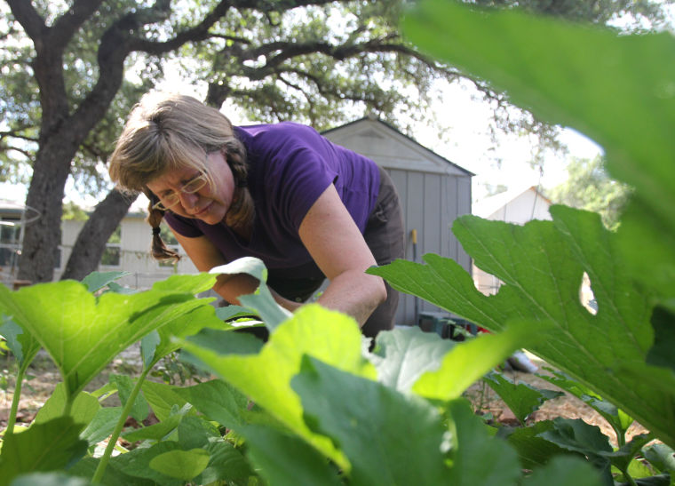 Organic Gardening