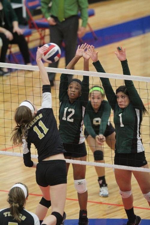 EllisonMansfieldVolleyball56.JPG