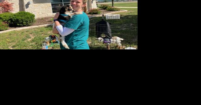 A look at what's coming up this week for Killeen-area residents | Local News - Vimarsana News