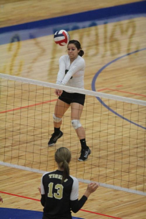 EllisonMansfieldVolleyball48.JPG
