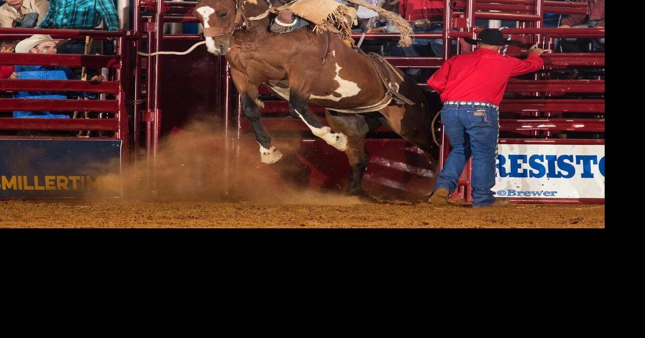 Cowboy up and grab some cotton candy at the North Texas Fair ...