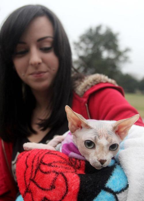 United Way - Emancipet Dogs
