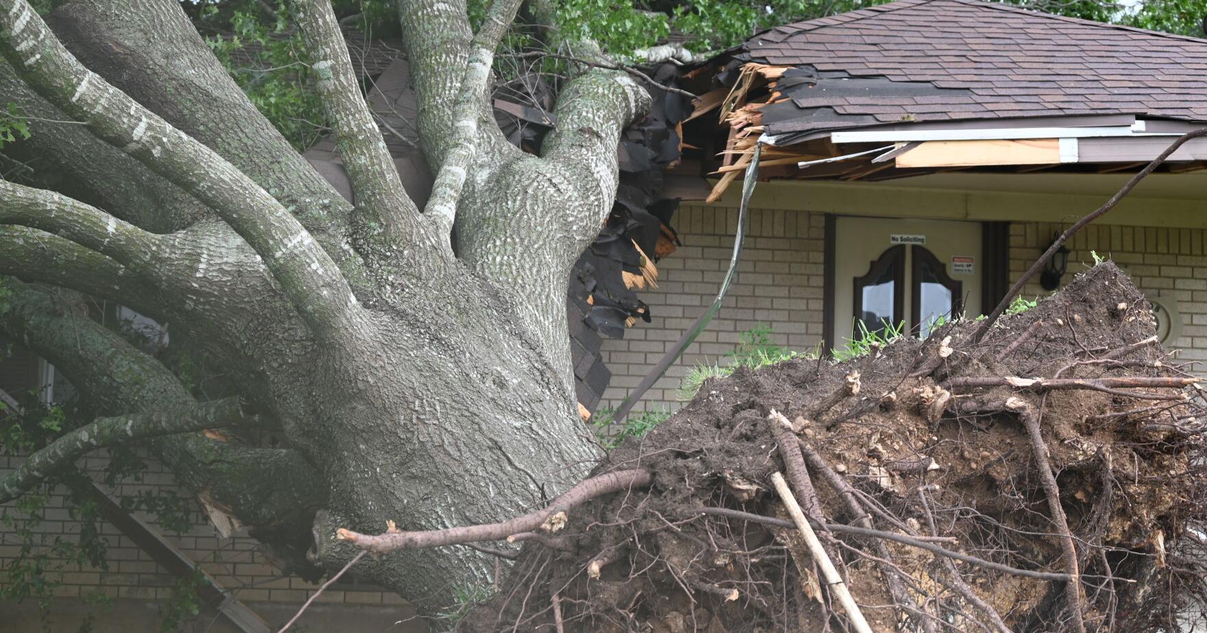 Trees on tops of houses and other damage reported in Killeen and throughout Bell County - Vimarsana News