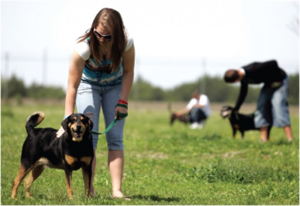 centex humane society