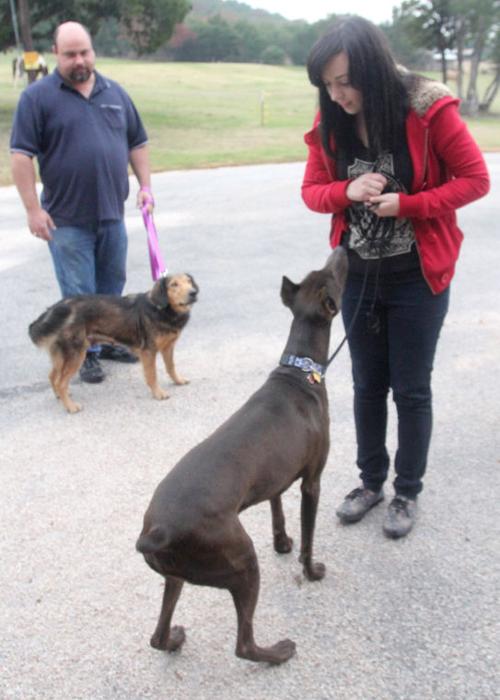 United Way - Emancipet Dogs