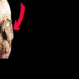10 Ancient Skulls With Fascinating Secrets | Entertainment