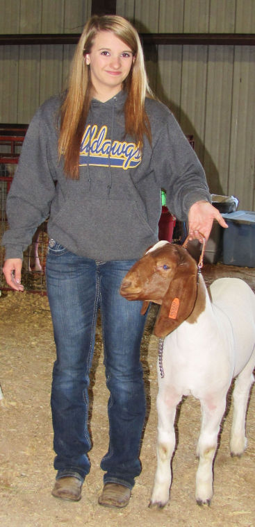 Coryell County Youth Fair