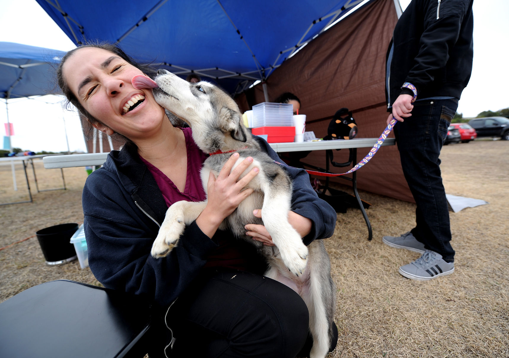 mobile pet care clinic near me