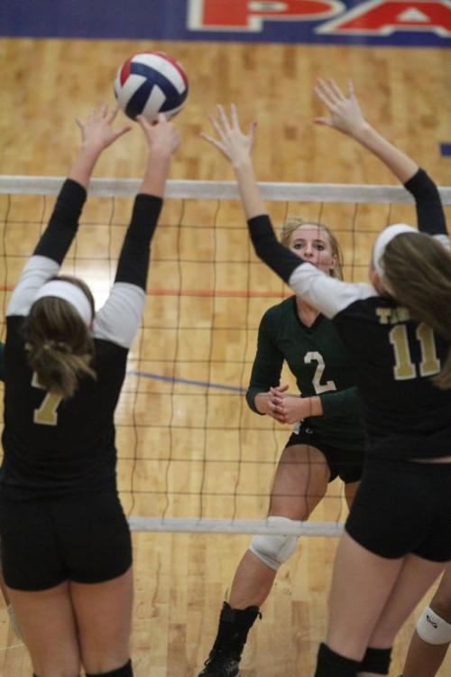 EllisonMansfieldVolleyball18.JPG
