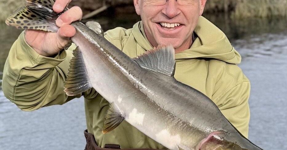 Bob Maindelle Guide Lines