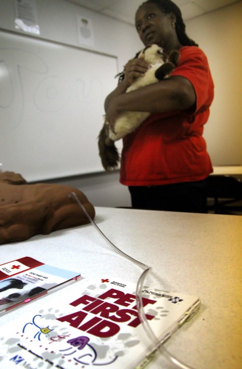 Pet First Aid