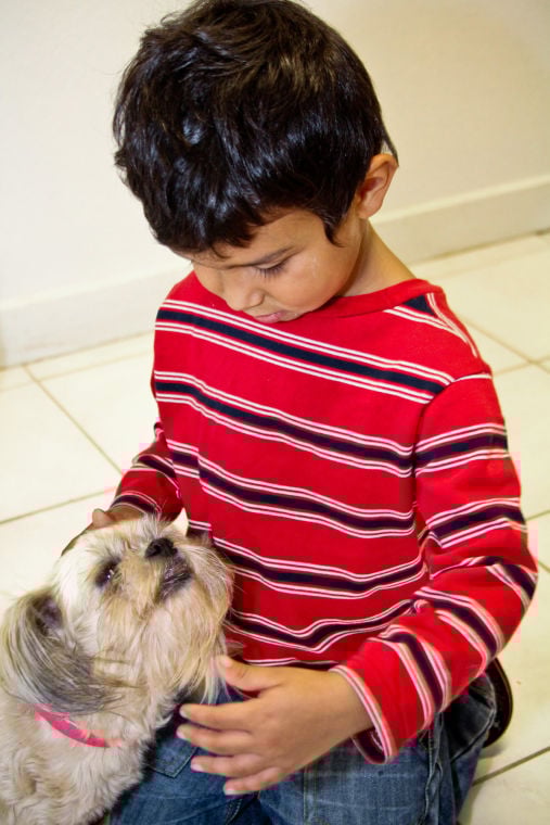 Dog Adoption