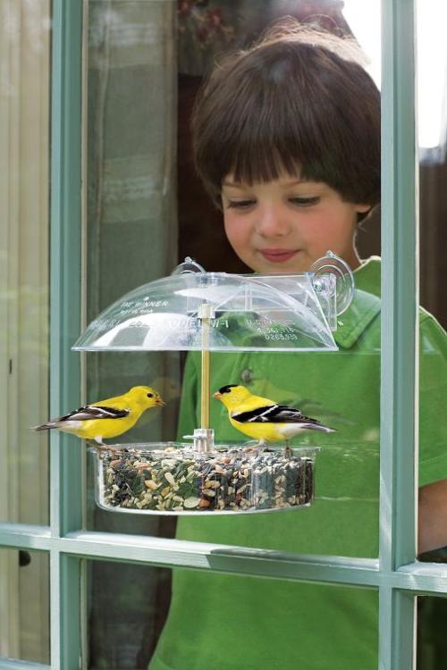 Garden gift ideas