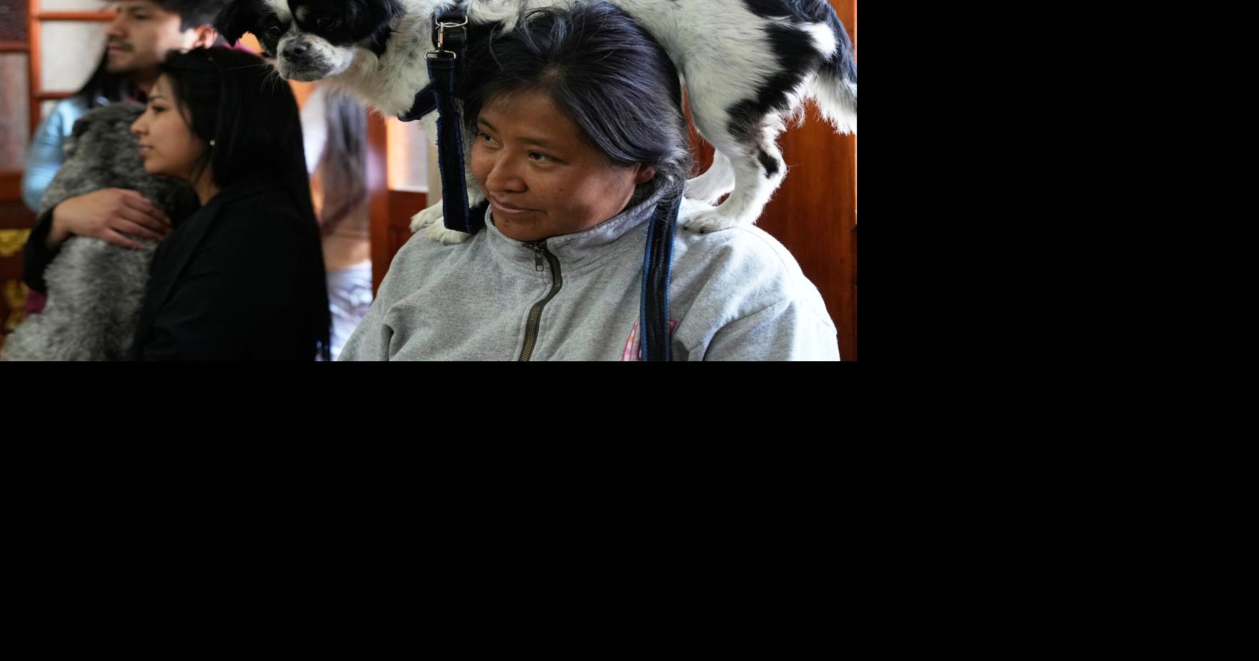 APTOPIX Bolivia Dog Day