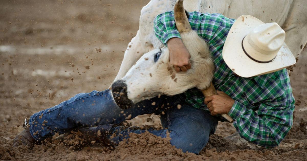 Klein Pro Rodeo Something for everyone at the 76th annual Killeen Rodeo | Local News ...