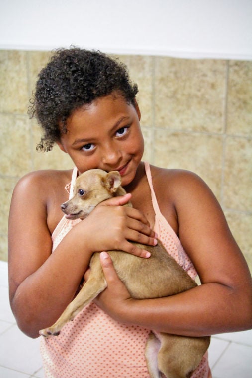 Dog Adoption