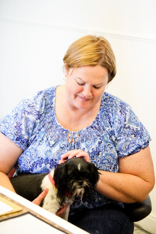 Dog Adoption